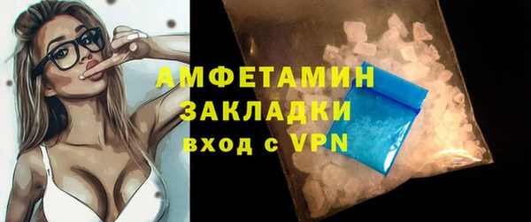 прущие грибы Володарск