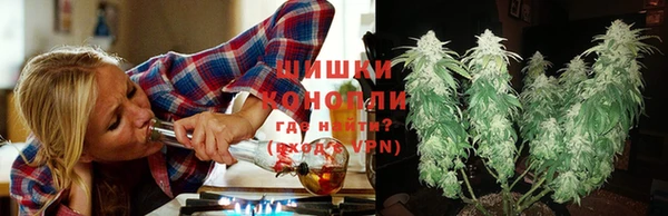 ПСИЛОЦИБИНОВЫЕ ГРИБЫ Верхнеуральск