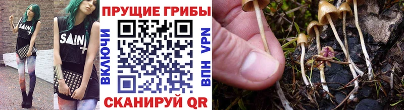 цена наркотик  Чегем  Галлюциногенные грибы ЛСД 