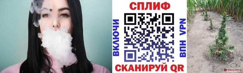 Канабис SATIVA & INDICA  Чегем 